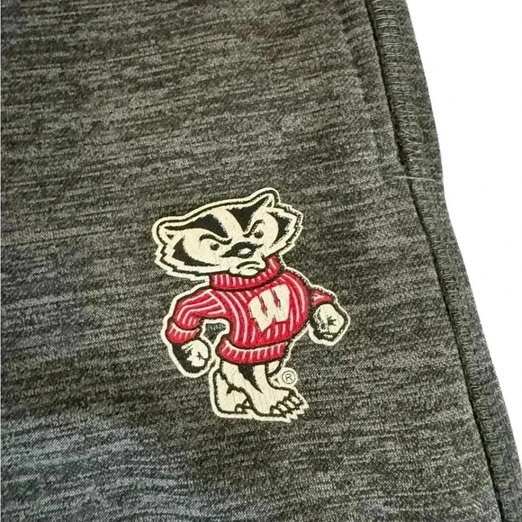 Colosseum Wisconsin Badgers NCAA Youth Medium Gray Stretch Waist Sweatpants - Picture 5 of 7
